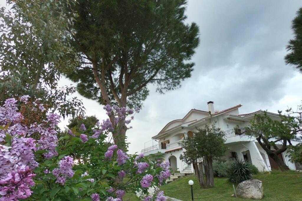 Triple H Villa Golos Dış mekan fotoğraf